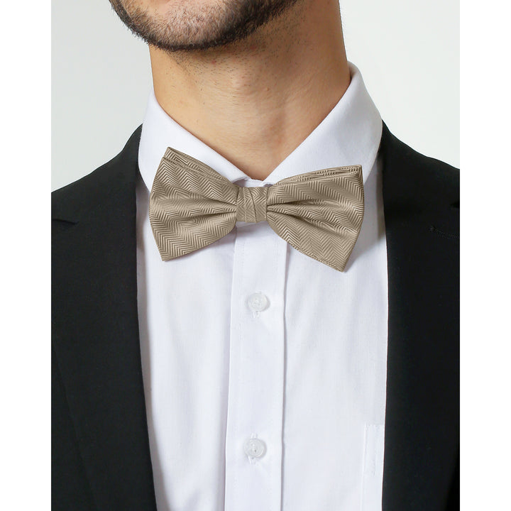 Silk Blend Chevron Banded Bow Tie - Biscotti