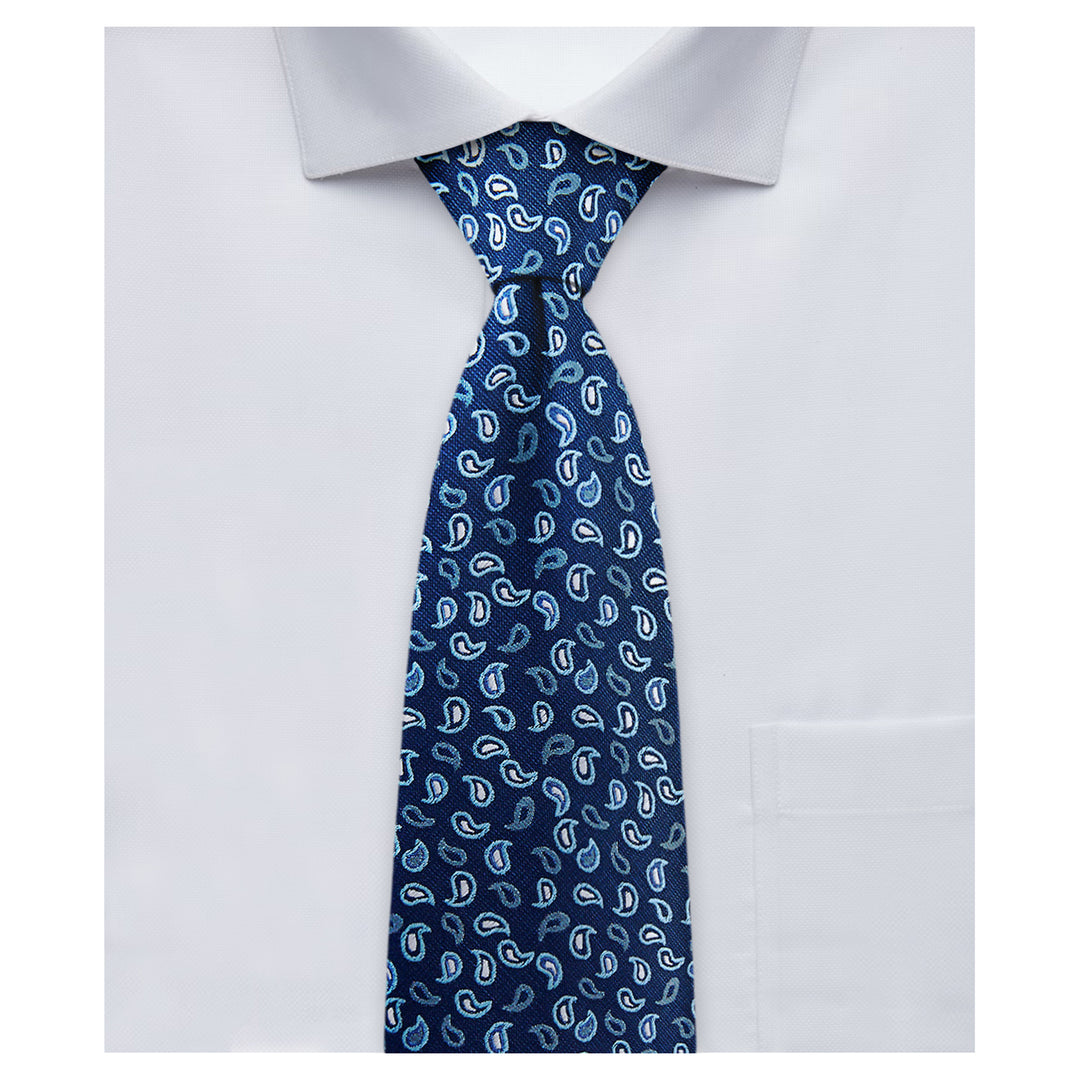Paisley Tie - Blue Silver