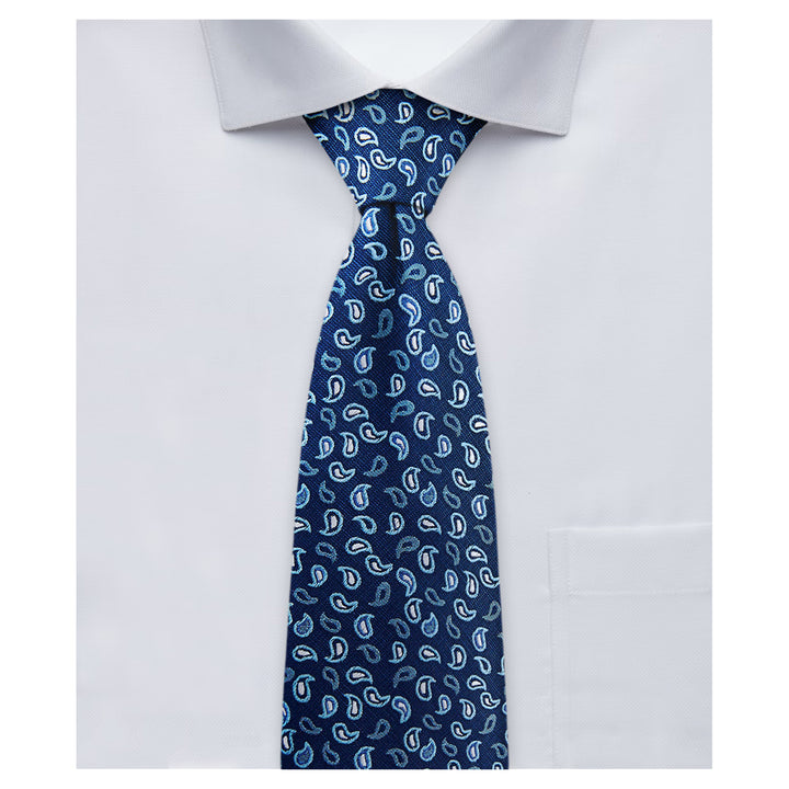 Paisley Tie - Blue Silver