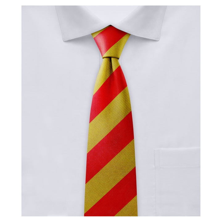 Kid's Prep Wide-Striped Tie - Gold Red