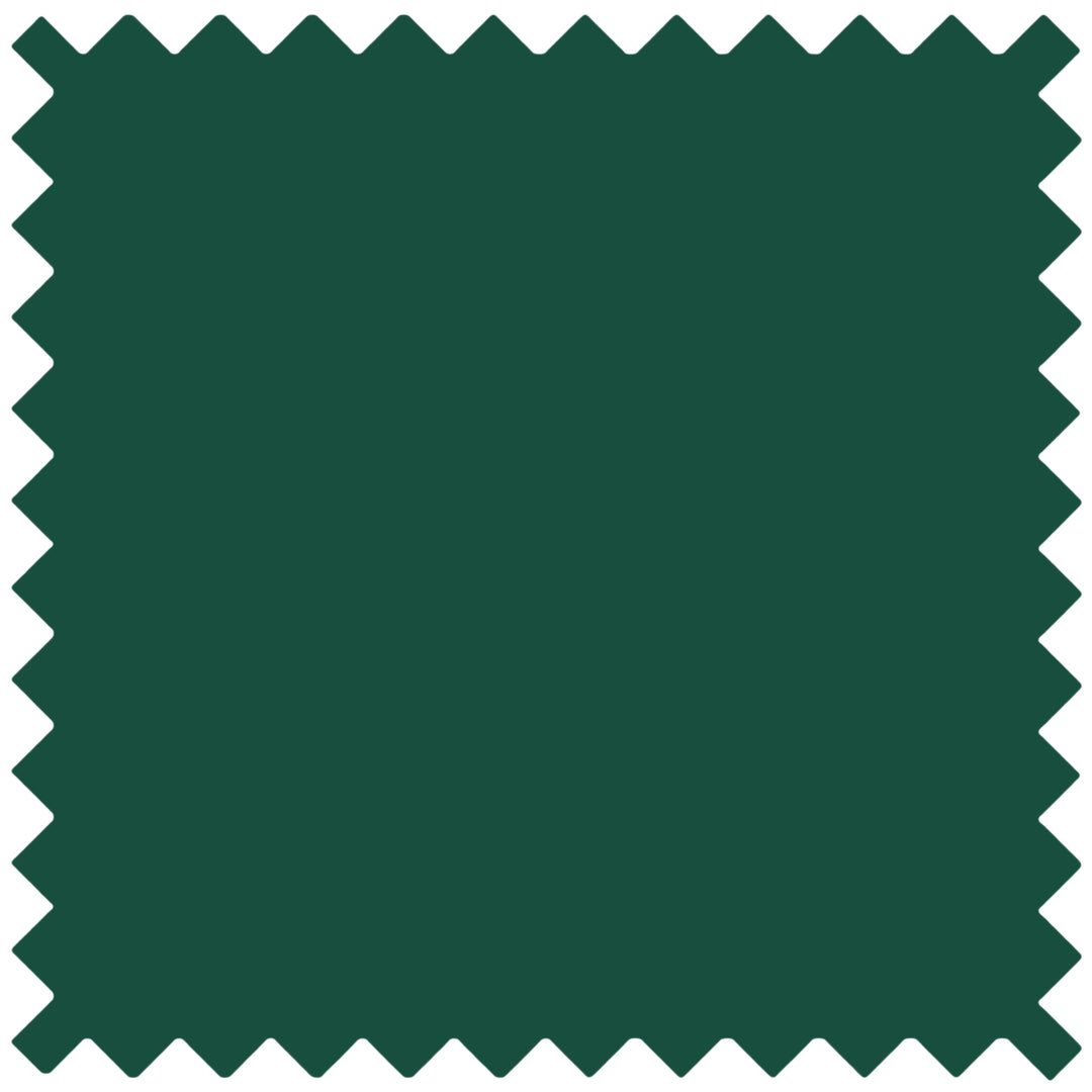 Classic Solid Tie - Forest Green