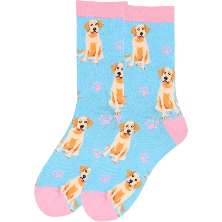 Retriever Dogs and Paw Print Novelty Socks - Light Blue